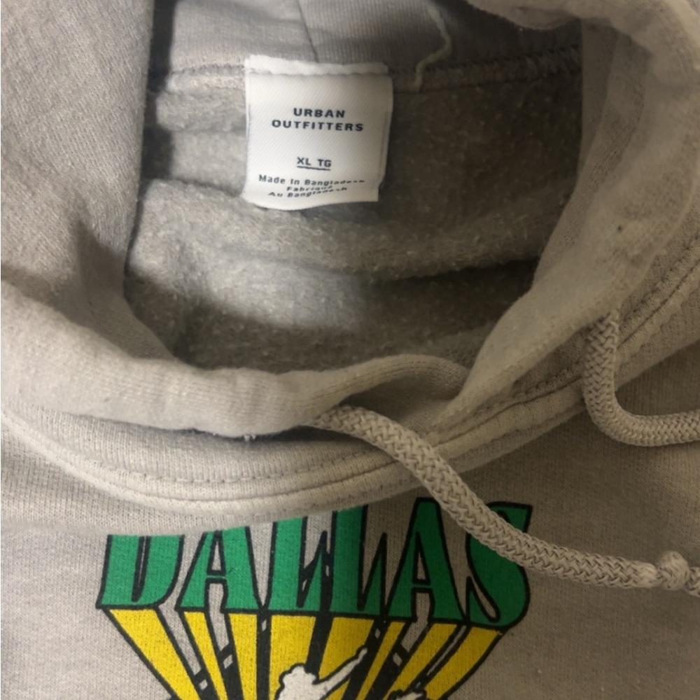 Urban Outfitters Gray Graphic Hooded Sweater
